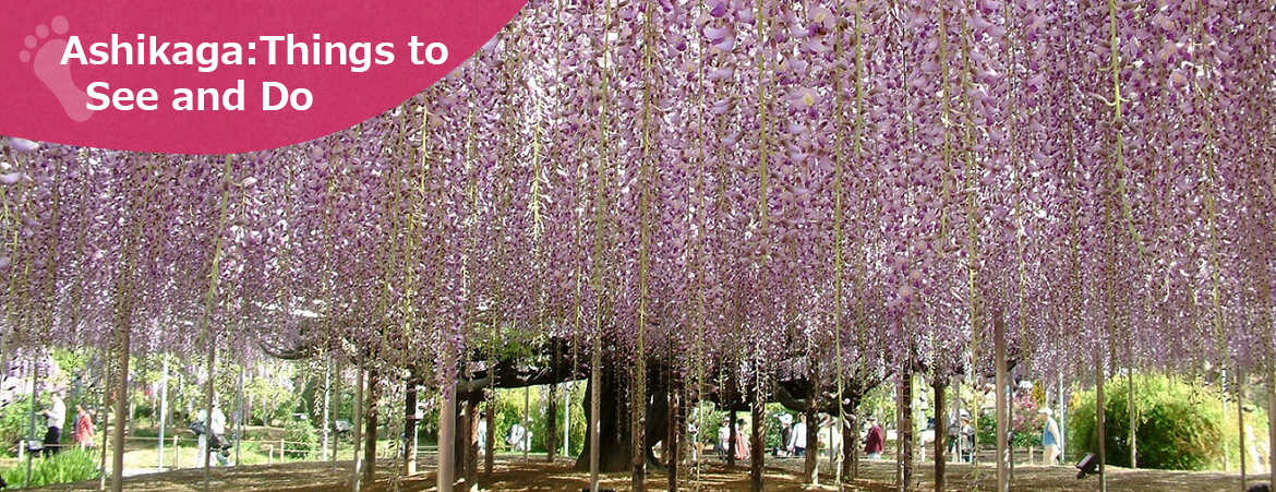 Ashikaga: Things to See and Do